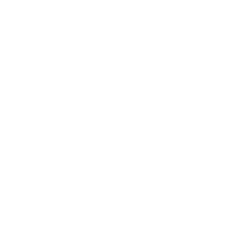 伝統工芸組子建具